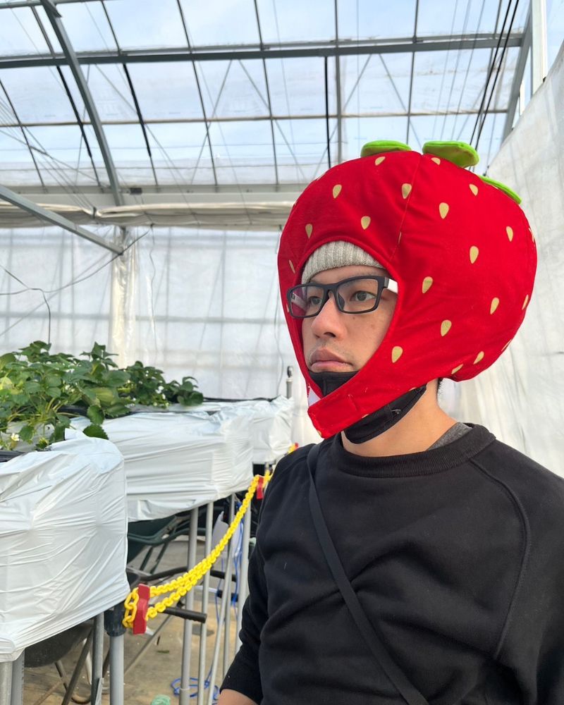 ヤスイのポートレート